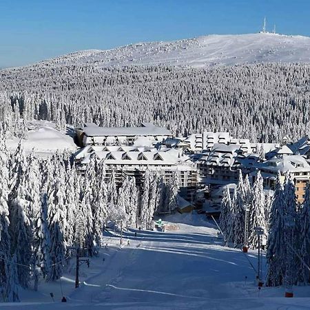 Woodside Kopaonik Apartment Екстериор снимка